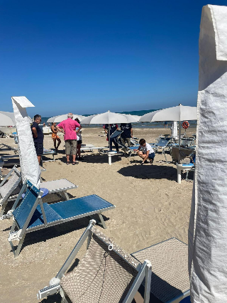 Senigallia - Nido di tartarughe ‘Caretta caretta’ in spiaggia, sorpresa tra gli ombrelloni