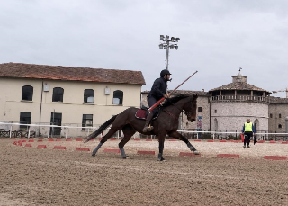 Quintana di Ascoli - Corso di perfezionamento per cavalieri: sei idonei, tra questi anche due amazzoni