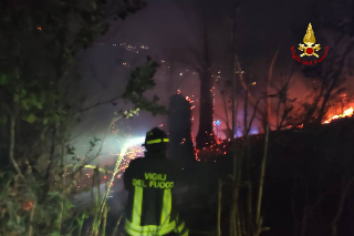 Vivaio a fuoco nella notte di Capodanno