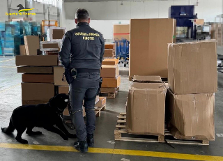 Macerata - Sequestrati oltre 55 Kg di marijuana nei magazzini dei corrieri: denunciato un destinatario