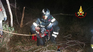 Urbino - Cane precipita per 15 metri, recuperato tra i calanchi