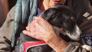 Ascoli Piceno - Pronto soccorso veterinario: "Garantire il servizio"