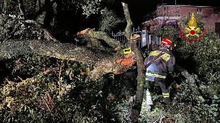 Marche - Vento e grandine, vigili del fuoco in azione
