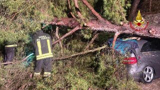 Maltempo nelle Marche - Neve e disagi, oltre cento interventi dei Vigili del fuoco
