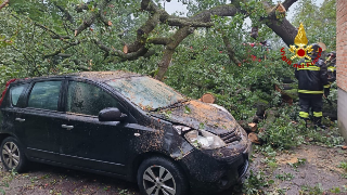 Maltempo, due alberi caduti su auto in sosta a Macerata e Ancona