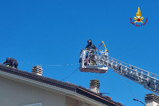 Fano, incendio sul tetto di un condominio: evacuati i residenti, nessun danno strutturale