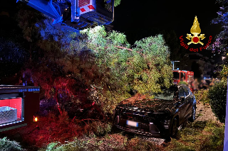 Maltempo - Alberi caduti, allagamenti e un incendio in Riviera