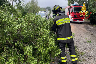 A14, riaperto tratto Fano-Senigallia: resta chiusa uscita di Marotta in direzione sud