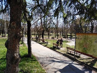 Fabriano - Notte di violenza ai giardini Regina Margherita: lite a bottigliate, spunta anche un falcetto