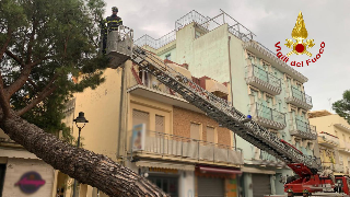 Gabicce - Albero crolla e si appoggia su un albero, rimosso dai vigili del fuoco