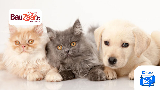 Cashback Bauzaar: cibo e accessori per i tuoi animali, con Hubix