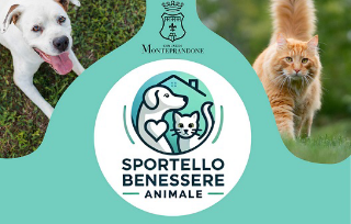 Monteprandone – Educazione cinofila per tutti: al via il progetto di "A Zampe Scalze"