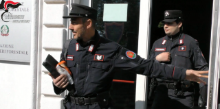 Carabinieri forestali, nel 2023 crescono i rifiuti illeciti e diminuiscono gli incendi 