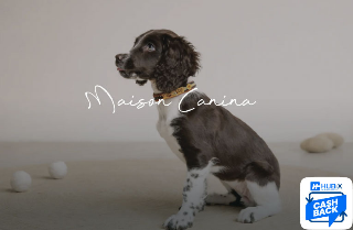 Amore a Quattro Zampe: Coccole e Stile con Hubix e Maison Canina