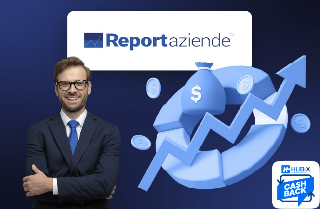 Sicurezza e Affari Protetti: Fai Rete con Hubix e Report Aziende