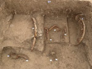 Sirolo - Scoperta necropoli principesca del VI secolo prima di Cristo: nella tomba anche il carro del principe