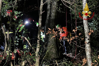 Deltaplanista cade e resta incastrato su un albero a 20 metri di altezza