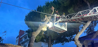 Maltempo, albero si abbatte su edificio a Martinsicuro