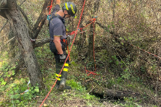 Cane da caccia precipita in un pozzo, Liuk salvato dai Vigili del fuoco