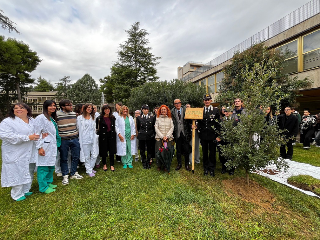 All’Ospedale “Mazzoni” di Ascoli un leccio per la salute: messa a dimora simbolica grazie a Fadoi e carabinieri