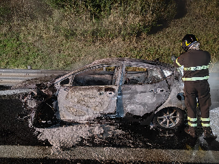Investe famiglia di cinghiali in A24 e la sua auto prende fuoco: ferito 25enne