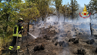 Macchia mediterranea in fiamme a Venarotta, in azione anche mezzo aereo