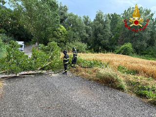 Marche - Vento forte: 300 interventi dei vigili del fuoco