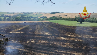 Filottrano - Incendio di vegetazione, intervento dei vigili del fuoco