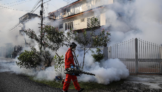 Ortona – Secondo caso di Dengue, disinfestazione urgente ed estesa