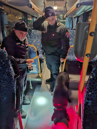 Macerata - Controlli straordinari dei carabinieri: sequestri, denunce e patenti ritirate